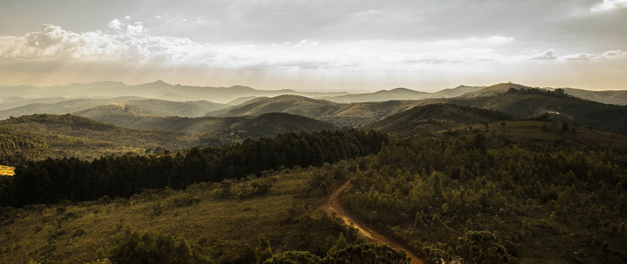服务器攻击方式
