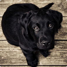 服务器攻击方式