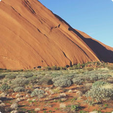 ddos网页在线攻击