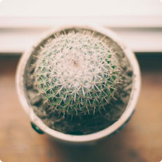 账号商城官方的攻击网站在线工具